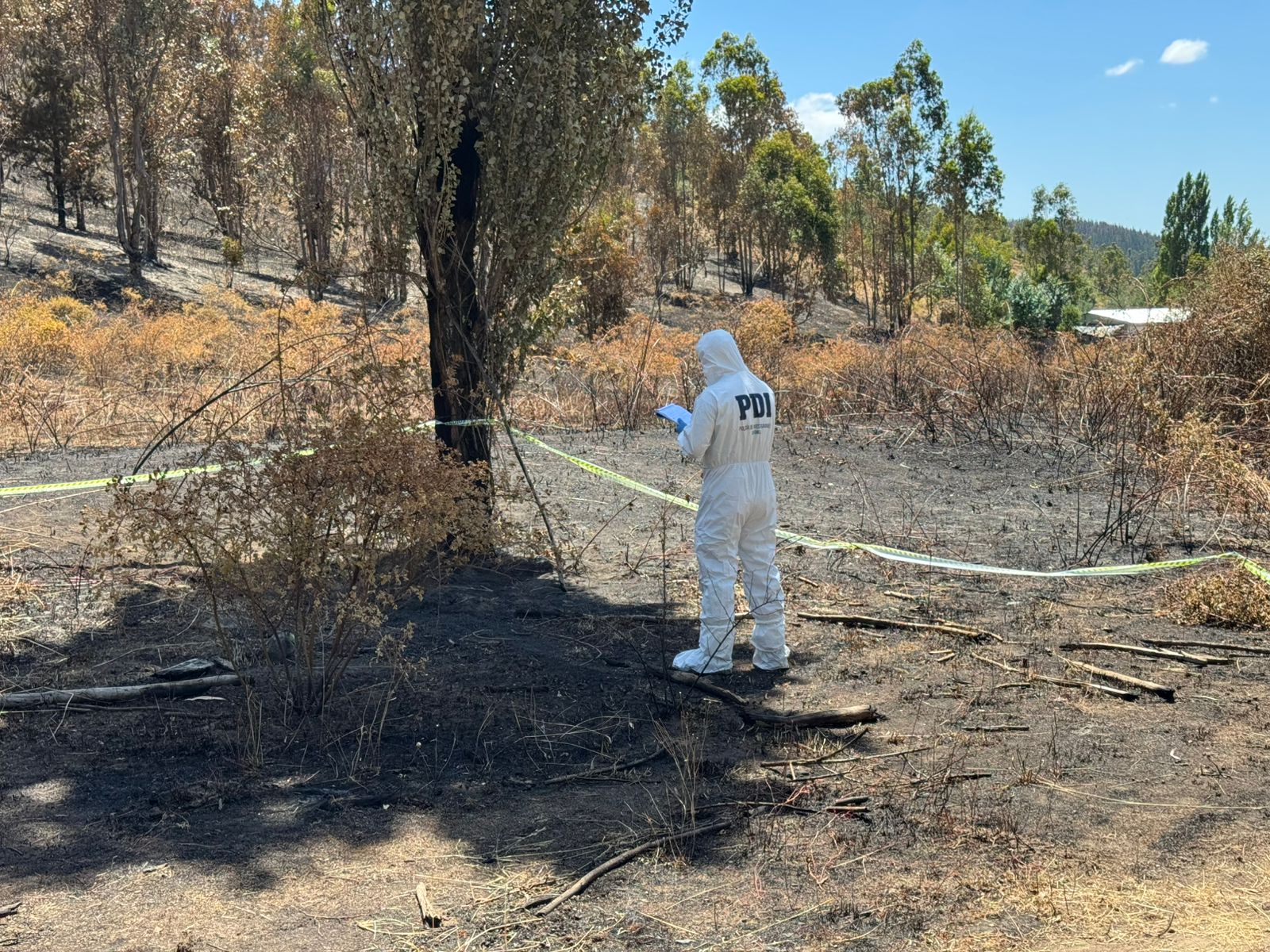 Vecinos piden declarar inimputable a detenida por incendio que mató a tres brigadistas