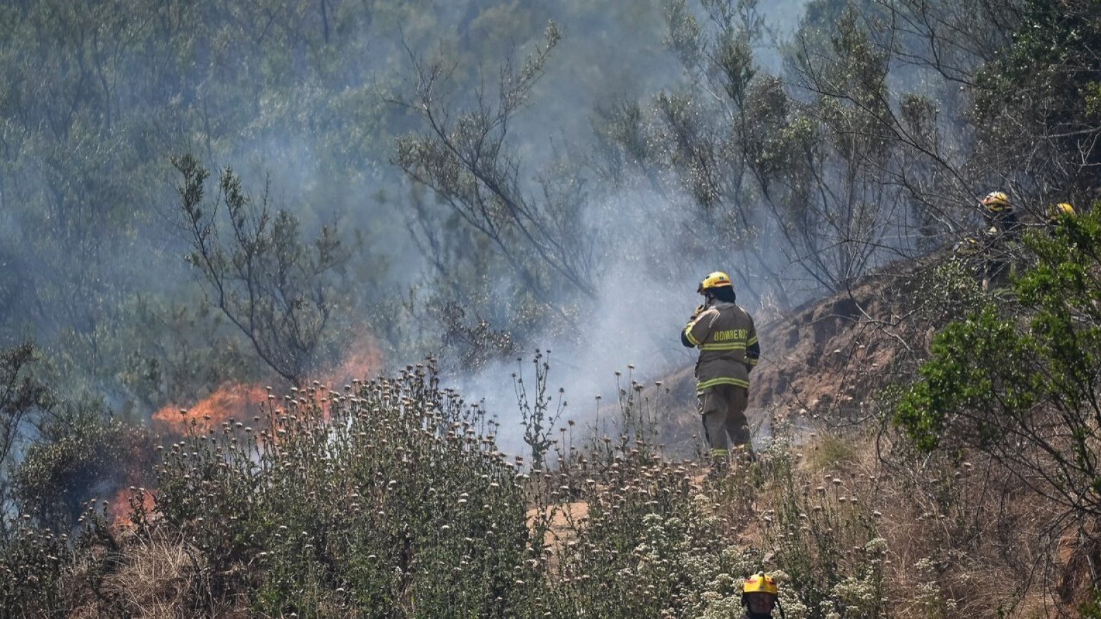 Senapred declara “Alerta Roja” a San Javier, por incendio forestal 