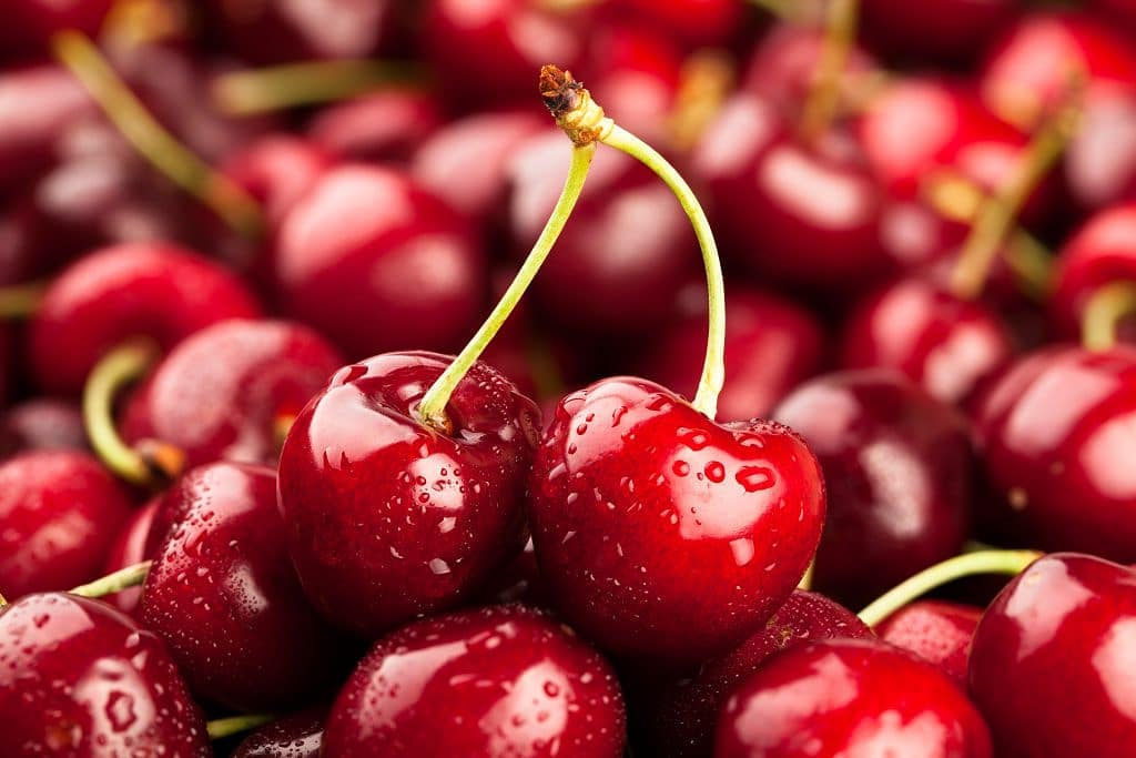 China rechazó todas las cerezas chilenas
